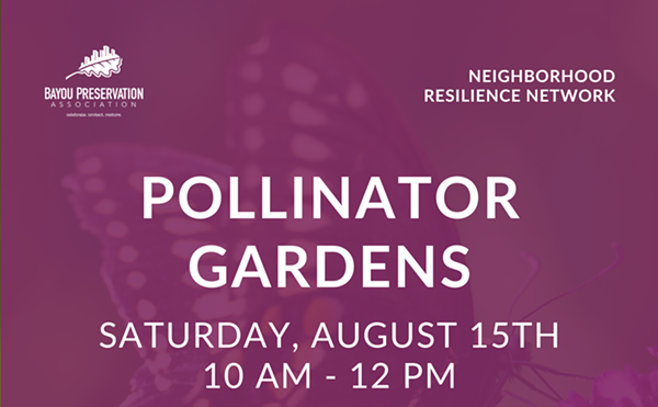Image: 2026 Neighborhood Resilience Network: Pollinator Gardens