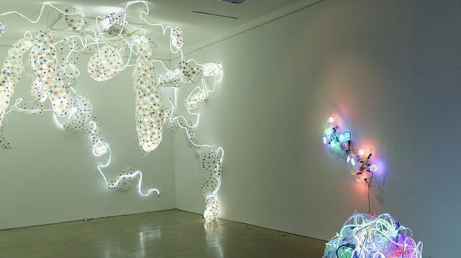 Collector Extraordinaire, Lester Marks in conversation with renowned Light Artist, Adela Andea, February 25!