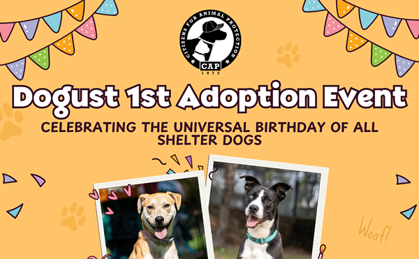 Image: DOGust 1st Adoption Event