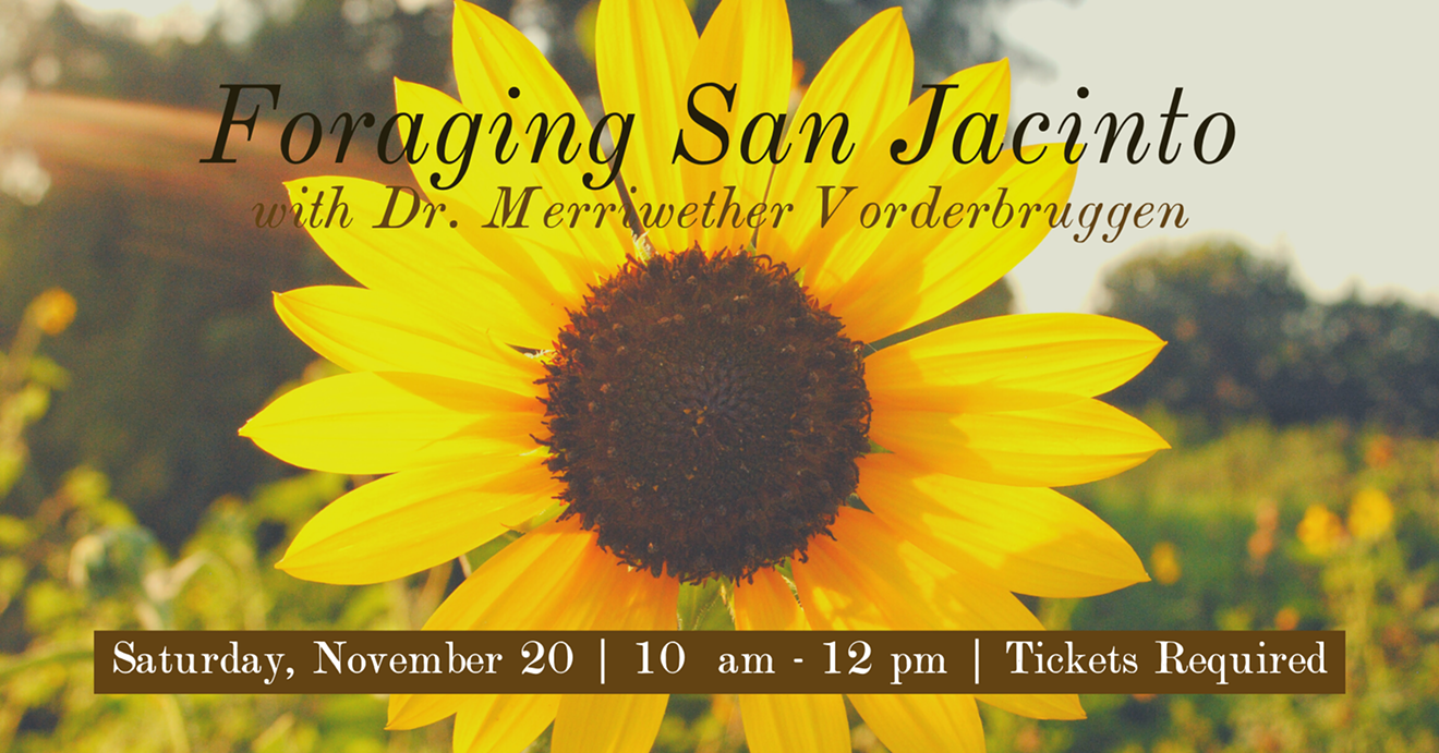 foraging_san_jacinto_fb.png