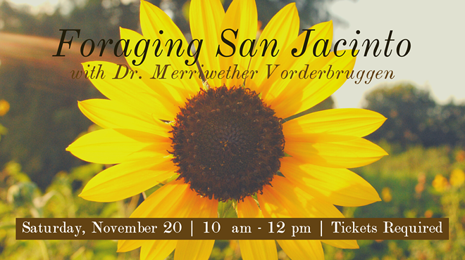 Image: Foraging San Jacinto