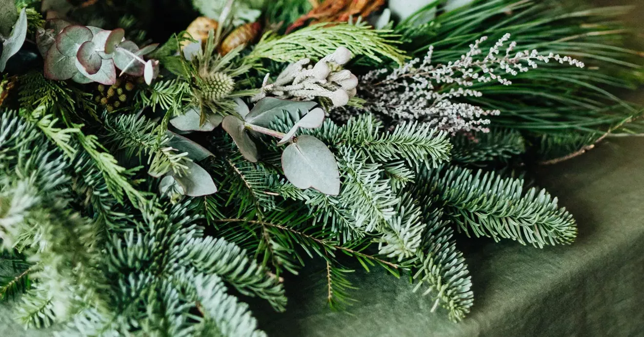 hccc-holiday-wreath-workshop.webp