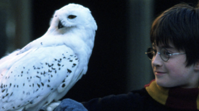 Image: Houston Symphony presents Harry Potter and the Sorcerer&rsquo;s Stone in Concert