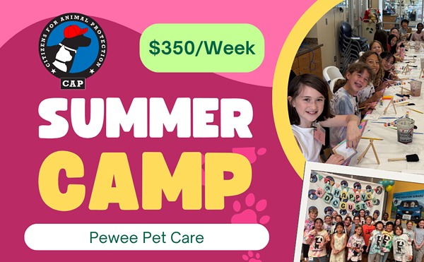 Image: Peewee Pet Care Summer Camp (Ages 6-8)