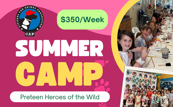 Image: Preteen Heroes of the Wild Summer Camp (Ages 9-12)