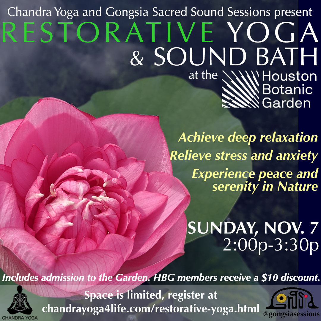 Restorative Yoga & Sound Bath | Sun Nov. 7 @ 2p