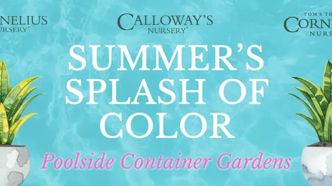 Image: Summer&rsquo;s Splash of Color: Poolside Container Gardens