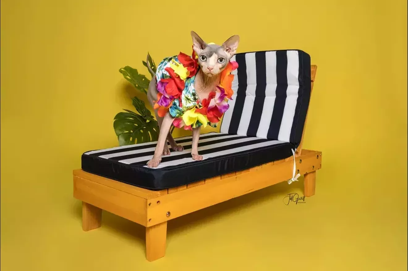Beach Ready