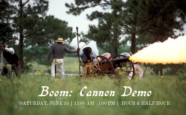 june-cannon-demo-hp.png