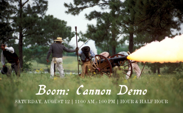 august-cannon-demo-hp.png