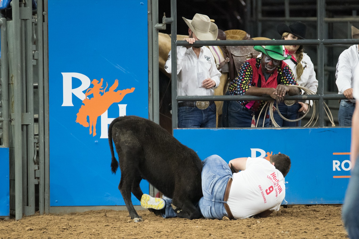 RodeoHouston Scenes From the Calf Scramble Houston Press