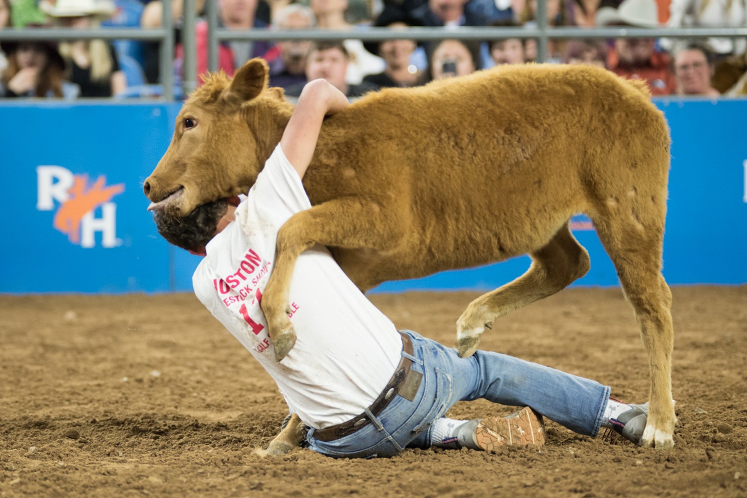 RodeoHouston Scenes From the Calf Scramble Houston Press