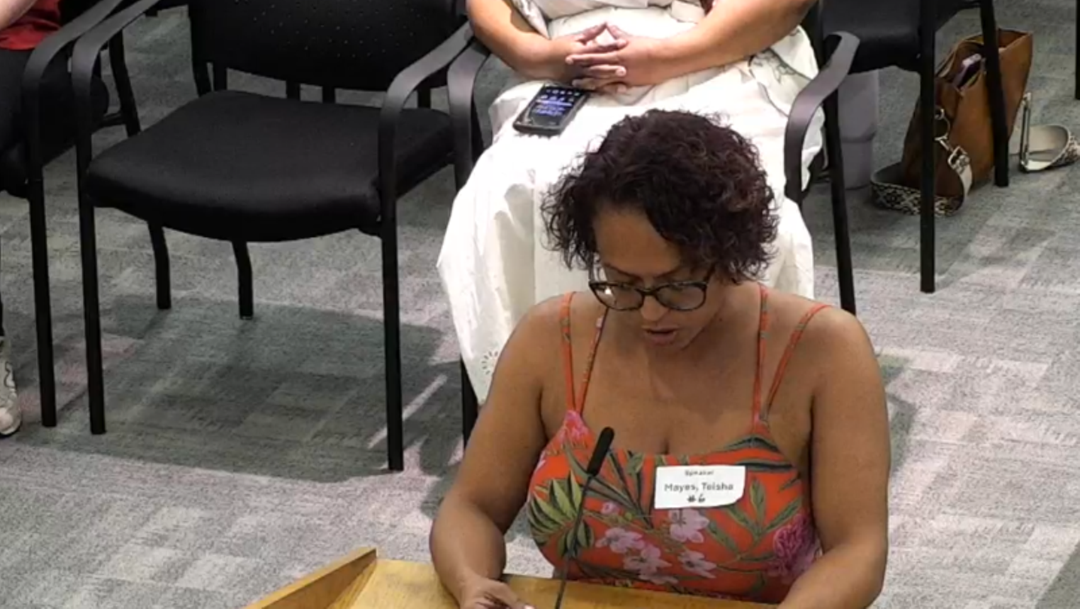 HISD Board Hears Another Round of Complaints About A/C, Buses, Landscaping, Libraries and the Bond Issue