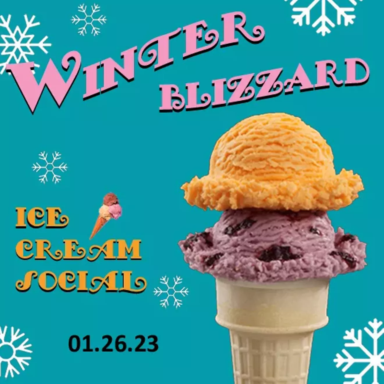 Winter Blizzard